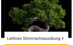 Leitlinien Stimmrechtsausübung